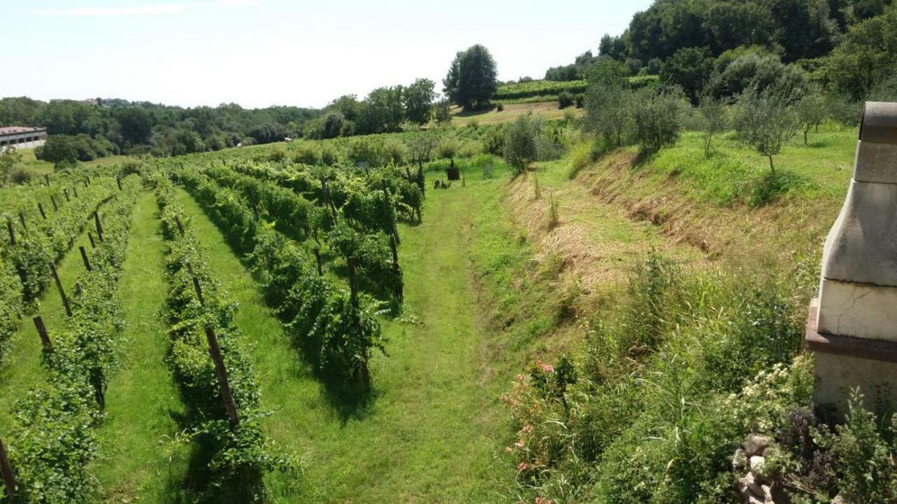 La Bosca Agriturismo กาวาร์โด ภายนอก รูปภาพ